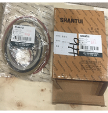 Ремкомплект гидротрансформатора Shantui SD16 16Y-11-11111